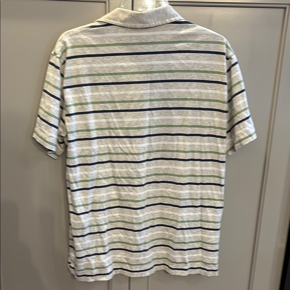 Gray and Green Striped Polo Shirt - Picture 3 of 3